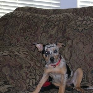 Meet your Posher, Geoff